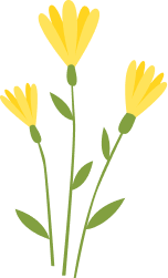 shape-image